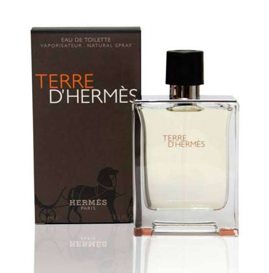 Hermes-Terre-dhermes-Men-R300-100ml-1